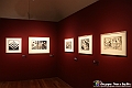 VBS_4966 - Mostra Escher